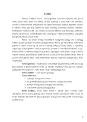 Verslo paramos paslaugų analizė ir pasiūlymai 5 puslapis