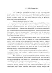 Verslo paramos paslaugų analizė ir pasiūlymai 7 puslapis