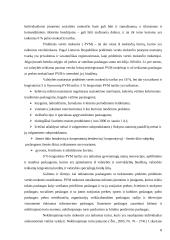 Verslo paramos paslaugų analizė ir pasiūlymai 8 puslapis