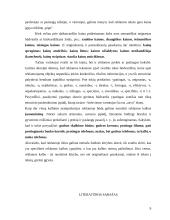 Įtaiga ir įvairios manipuliacijos reklamoje 9 puslapis