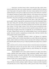 N. Eliasas ir jo kūrinys "Rūmų dvaro visuomenė" 5 puslapis