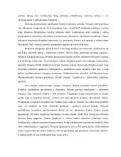 Reklamos analizė: Nike pridėtinės vertės kūrimas per Michaelio Jordano įvaizdį 2 puslapis