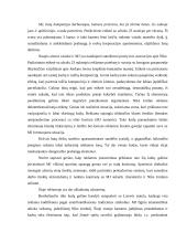 Reklamos analizė: Nike pridėtinės vertės kūrimas per Michaelio Jordano įvaizdį 3 puslapis