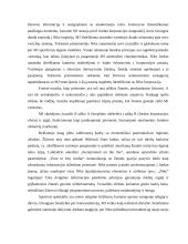 Reklamos analizė: Nike pridėtinės vertės kūrimas per Michaelio Jordano įvaizdį 4 puslapis