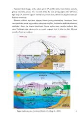 Agroekologija ir žemės ūkis 15 puslapis