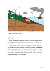 Agroekologija ir žemės ūkis 19 puslapis