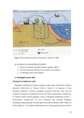 Agroekologija ir žemės ūkis 20 puslapis