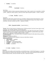 Dendrologija. Lapuočiai augalai 11 puslapis