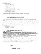 Dendrologija. Lapuočiai augalai 14 puslapis