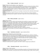 Dendrologija. Lapuočiai augalai 7 puslapis