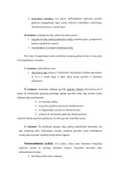 Gyvulių draudimas kompanijoje "ERGO Lietuva" 2 puslapis