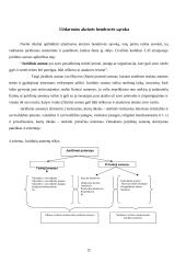 Apskaitos organizavimas įmonėse: UAB "Tepas" 12 puslapis