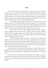 Apskaitos organizavimas įmonėse: UAB "Tepas" 3 puslapis