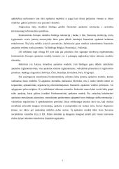 Apskaitos organizavimas įmonėse: UAB "Tepas" 7 puslapis