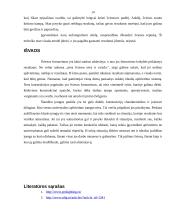 Apšvietimo įranga daiktų fotografijoje 14 puslapis