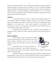 Apšvietimo įranga daiktų fotografijoje 8 puslapis