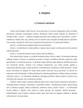 Asmeninės karjeros vystymas organizacijose 5 puslapis