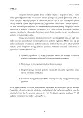 Atsargų esmė, rūšys, apskaitos modeliai ir perkainojimas 2 puslapis