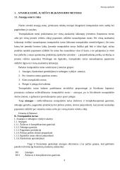 Atsargų esmė, rūšys, apskaitos modeliai ir perkainojimas 3 puslapis