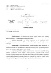 Atsargų esmė, rūšys, apskaitos modeliai ir perkainojimas 4 puslapis