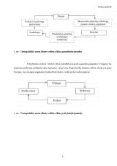Atsargų esmė, rūšys, apskaitos modeliai ir perkainojimas 5 puslapis