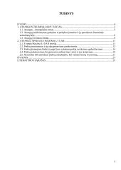 Atsargų apskaita: UAB "Maxima LT" 3 puslapis