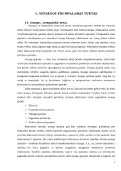 Atsargų apskaita: UAB "Maxima LT" 5 puslapis