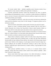 Balanso vertikalioji ir horizontalioji analizė 2 puslapis