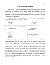 Balanso vertikalioji ir horizontalioji analizė 11 puslapis