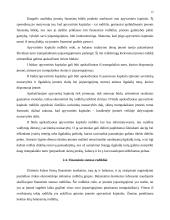 Balanso vertikalioji ir horizontalioji analizė 12 puslapis