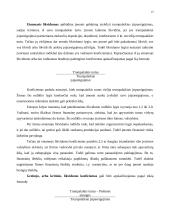 Balanso vertikalioji ir horizontalioji analizė 13 puslapis