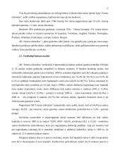 Balanso vertikalioji ir horizontalioji analizė 15 puslapis