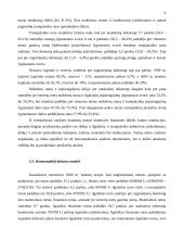 Balanso vertikalioji ir horizontalioji analizė 16 puslapis