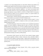 Balanso vertikalioji ir horizontalioji analizė 17 puslapis