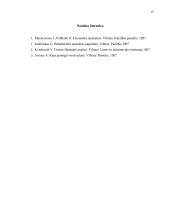 Balanso vertikalioji ir horizontalioji analizė 19 puslapis