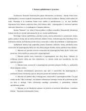 Balanso vertikalioji ir horizontalioji analizė 3 puslapis