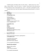 Balanso vertikalioji ir horizontalioji analizė 4 puslapis