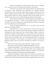 Balanso vertikalioji ir horizontalioji analizė 6 puslapis