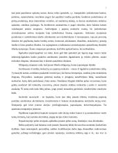 Balanso vertikalioji ir horizontalioji analizė 7 puslapis