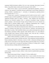 Balanso vertikalioji ir horizontalioji analizė 8 puslapis