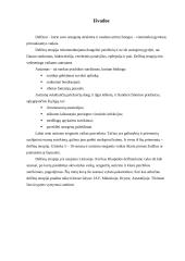 Delfinų terapija 14 puslapis