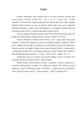 Delfinų terapija 4 puslapis