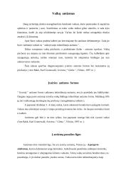 Delfinų terapija 5 puslapis