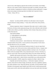 Delfinų terapija 6 puslapis