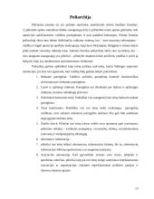 Demokratijos koncepcijos ir modeliai 12 puslapis