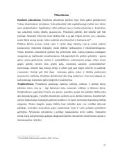 Demokratijos koncepcijos ir modeliai 20 puslapis