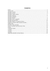 Draudimo bendrovių veikla 2 puslapis