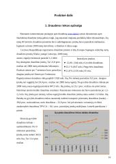 Draudimo bendrovių veikla 13 puslapis