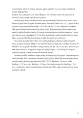 Draudimo bendrovių veikla 14 puslapis