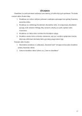 Draudimo bendrovių veikla 16 puslapis